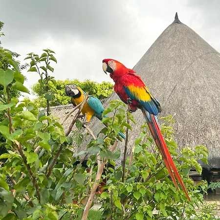 La Felicida Holiday home