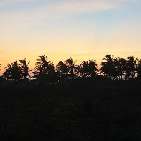 La Felicida * Cartagena
