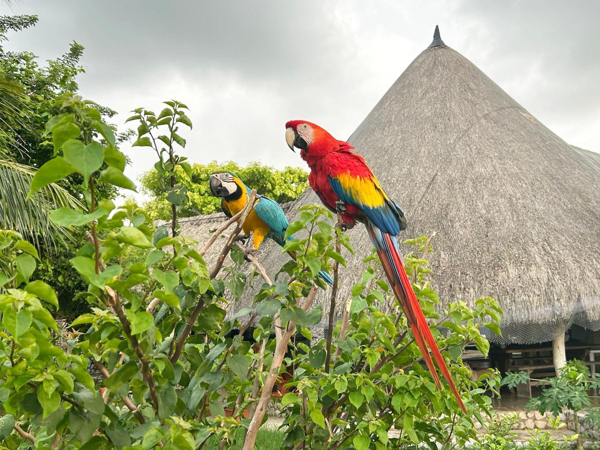 La Felicida Holiday home